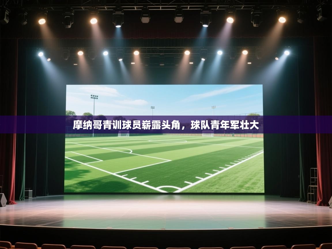 开云体育iOS安装教程-摩纳哥青训球员崭露头角,球队青年军壮大 第1张