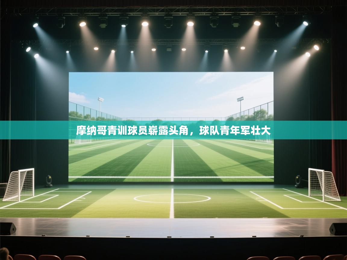 开云体育iOS安装教程-摩纳哥青训球员崭露头角,球队青年军壮大 第3张