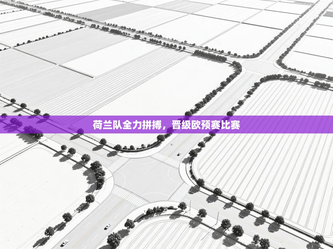 云开官网-荷兰队全力拼搏,晋级欧预赛比赛 第1张