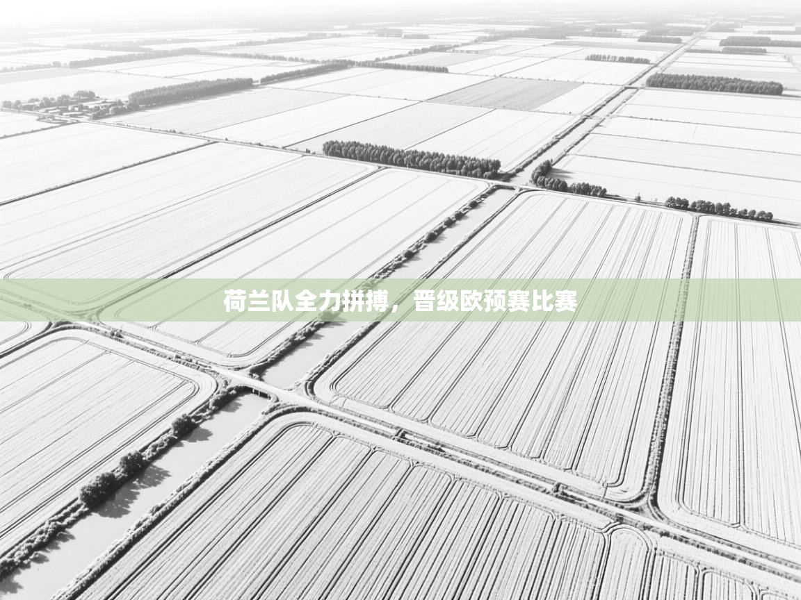 云开官网-荷兰队全力拼搏,晋级欧预赛比赛 第4张