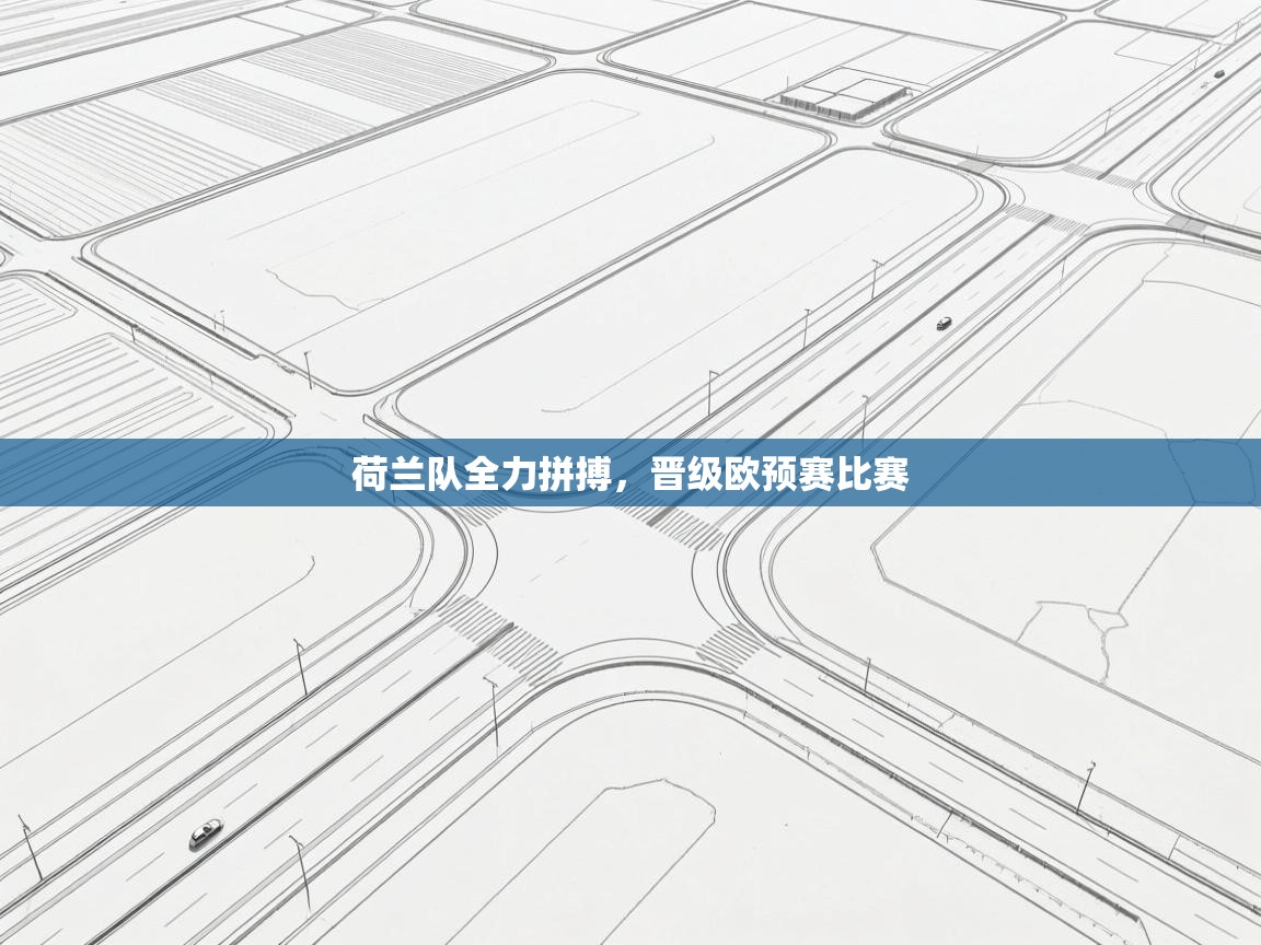 云开官网-荷兰队全力拼搏,晋级欧预赛比赛 第3张