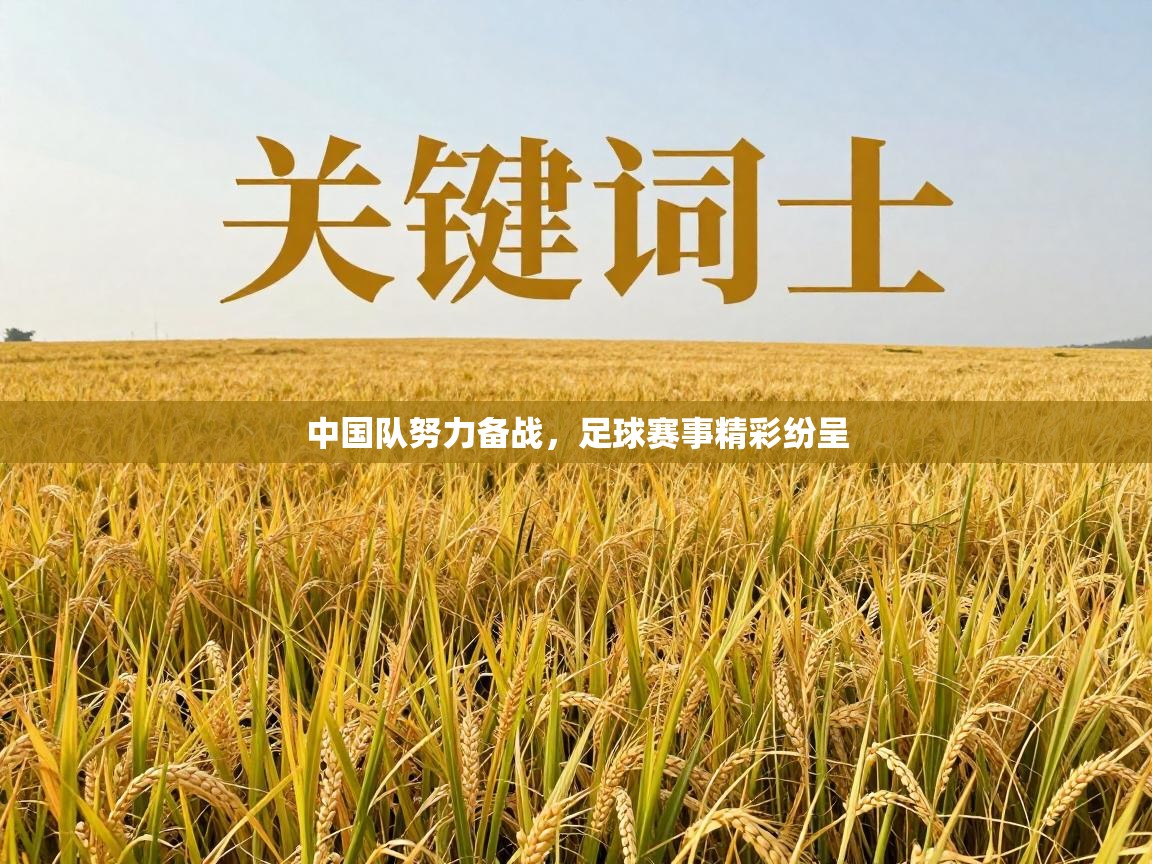 开云体育赛事比分直播-中国队努力备战，足球赛事精彩纷呈  第3张