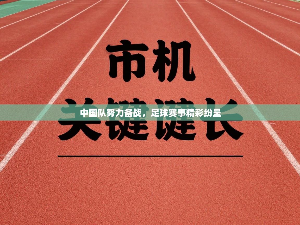 开云体育赛事比分直播-中国队努力备战，足球赛事精彩纷呈  第4张