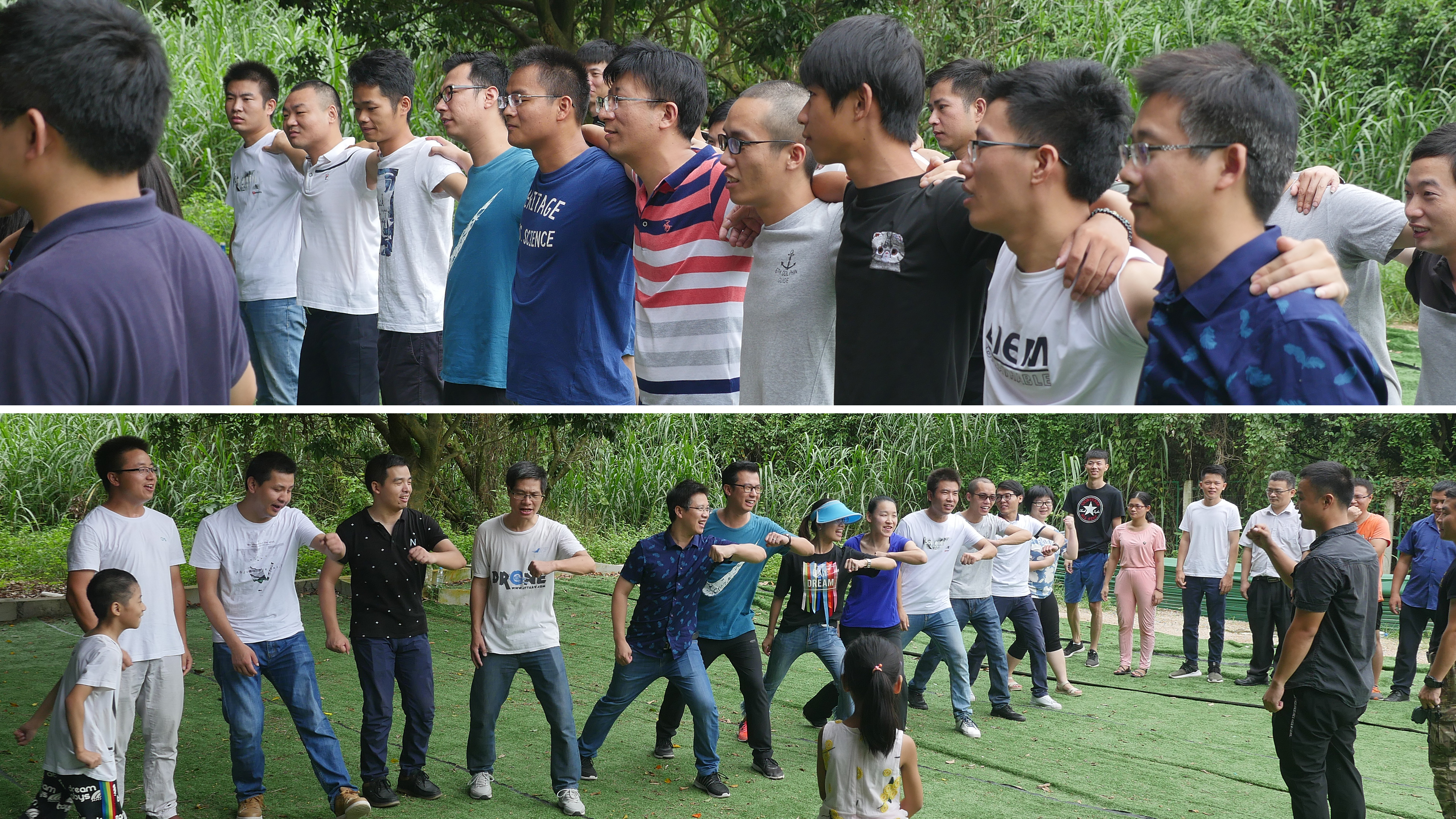 深圳队团队协作默契，稳定取胜的简单介绍